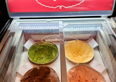 Häagen-Dazs ice cream selection at YEN restaurant in W Taipei, featuring matcha, vanilla, chocolate, and strawberry flavors