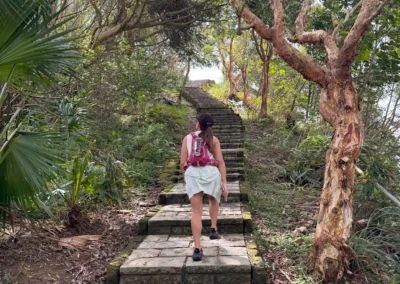 Stone stairs along the path to Tiger Mountain peak.