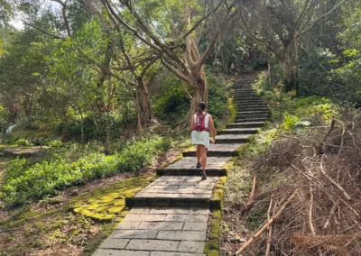 Scenic stone path winds through lush forest on the hike up Tiger Mountain in Taipei.