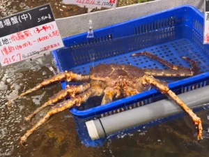 Live crab at Addiction Aquatic Development