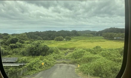 Train Ride to Kyoto in Photos